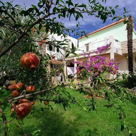 Apartment Maslina Bibinje Εξωτερικό φωτογραφία