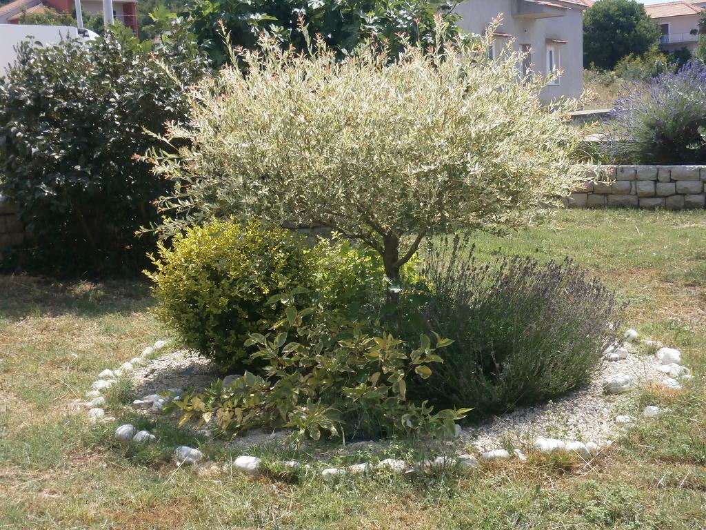 Apartment Maslina Bibinje Εξωτερικό φωτογραφία