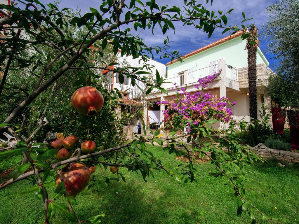 Apartment Maslina Bibinje Εξωτερικό φωτογραφία