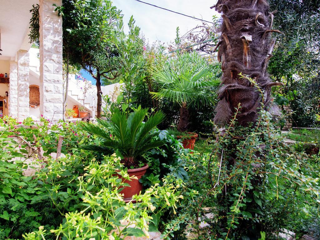 Apartment Maslina Bibinje Εξωτερικό φωτογραφία