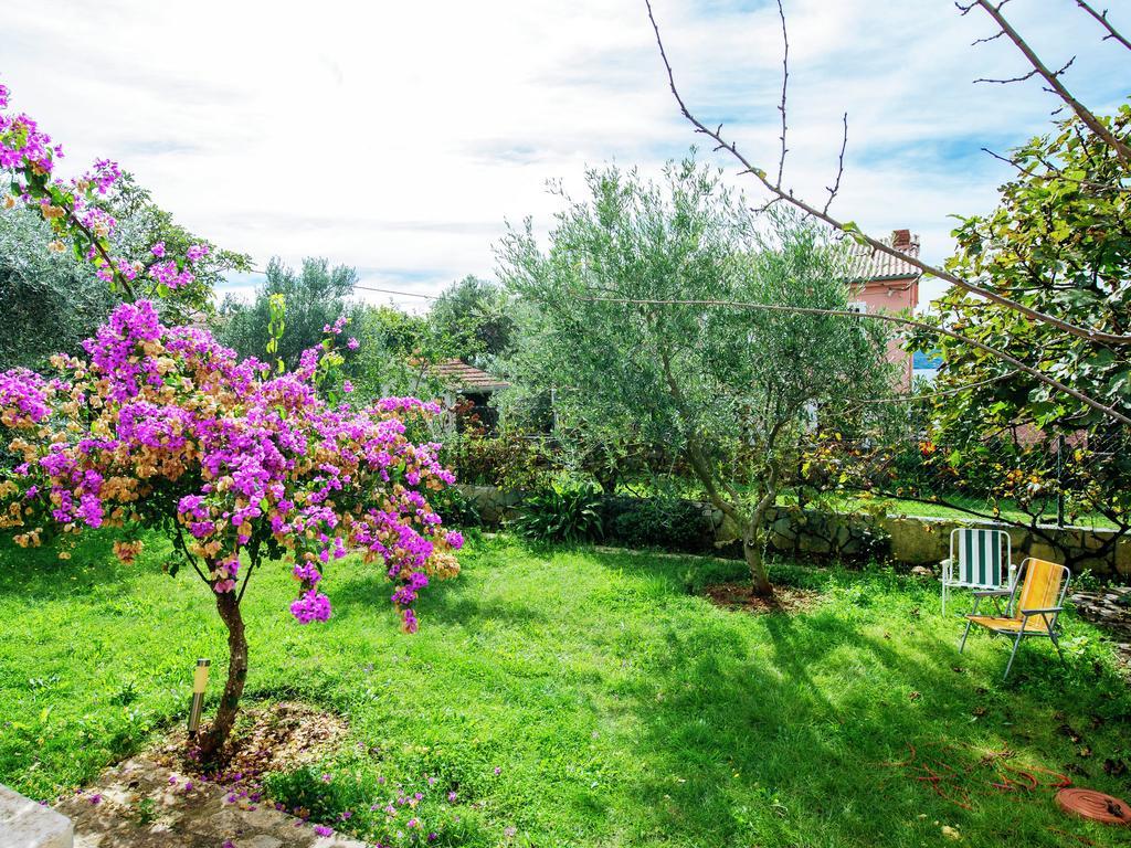 Apartment Maslina Bibinje Εξωτερικό φωτογραφία