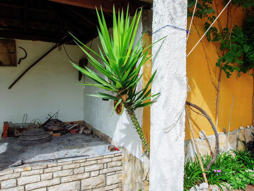 Apartment Maslina Bibinje Εξωτερικό φωτογραφία